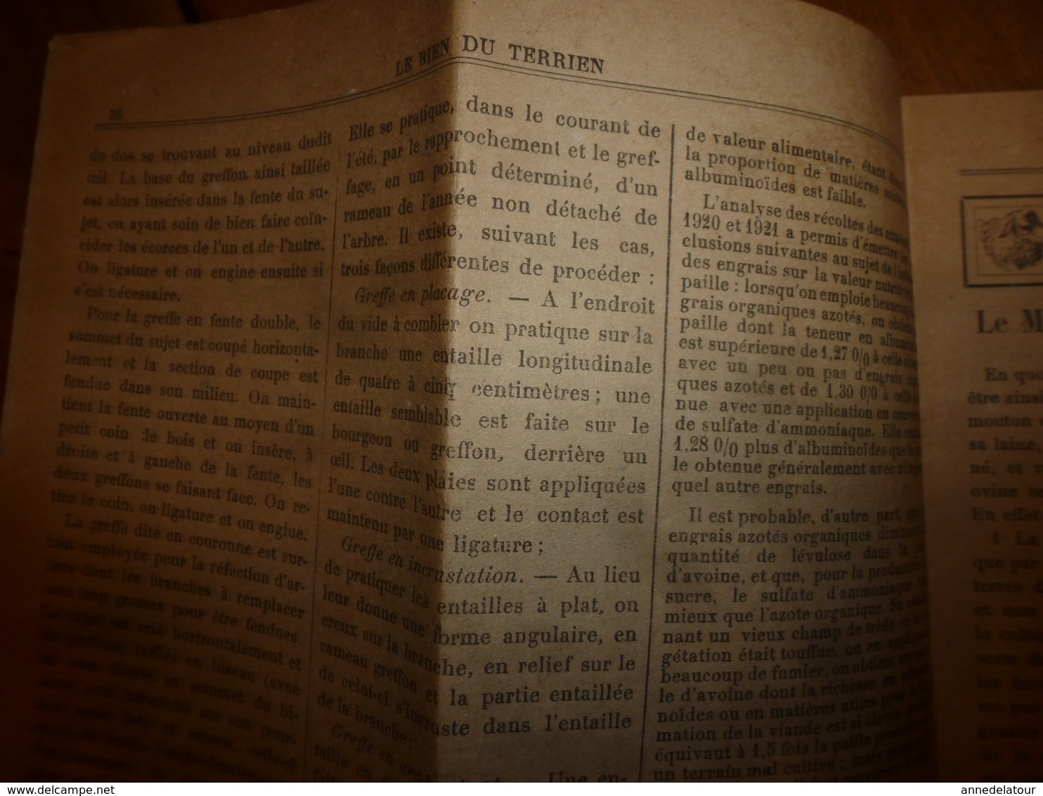 1924 LE BIEN DU TERRIEN -->Les greffes du poirier; Election Reine des Reines du canton de Nolay(J. Cretaine,J.Girard,etc