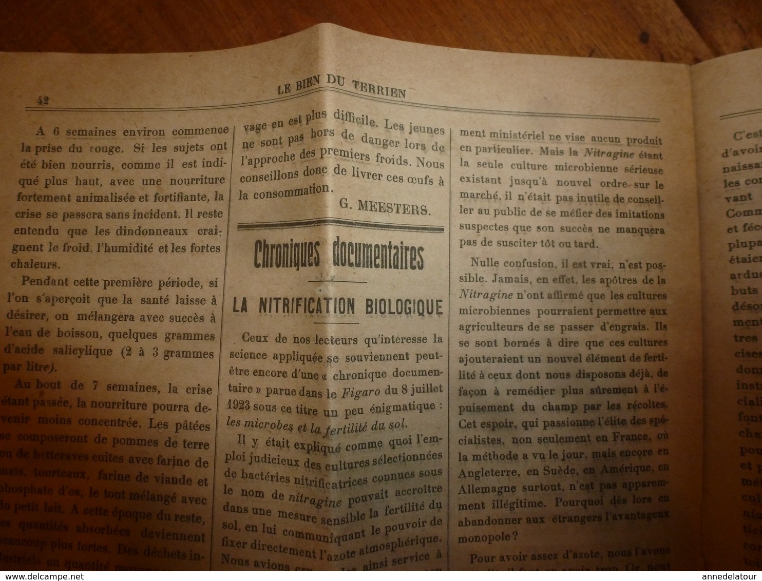 1924 LE BIEN DU TERRIEN -->Les greffes du poirier; Election Reine des Reines du canton de Nolay(J. Cretaine,J.Girard,etc