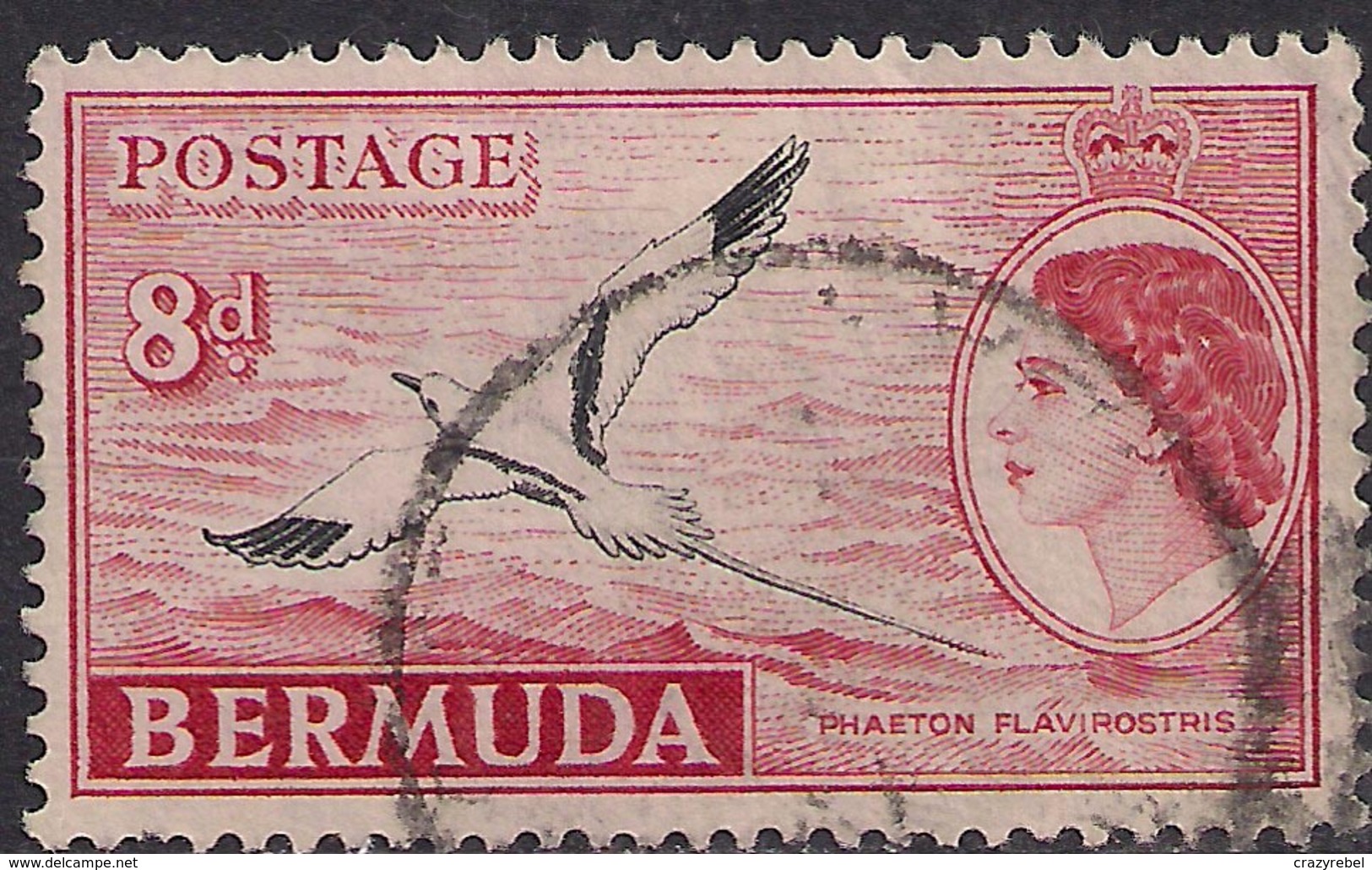 Bermuda 1953 - 62 QE2 8d Black/Red White Tailed Tropic Bird SG 143a ( H1107 ) - Bermuda