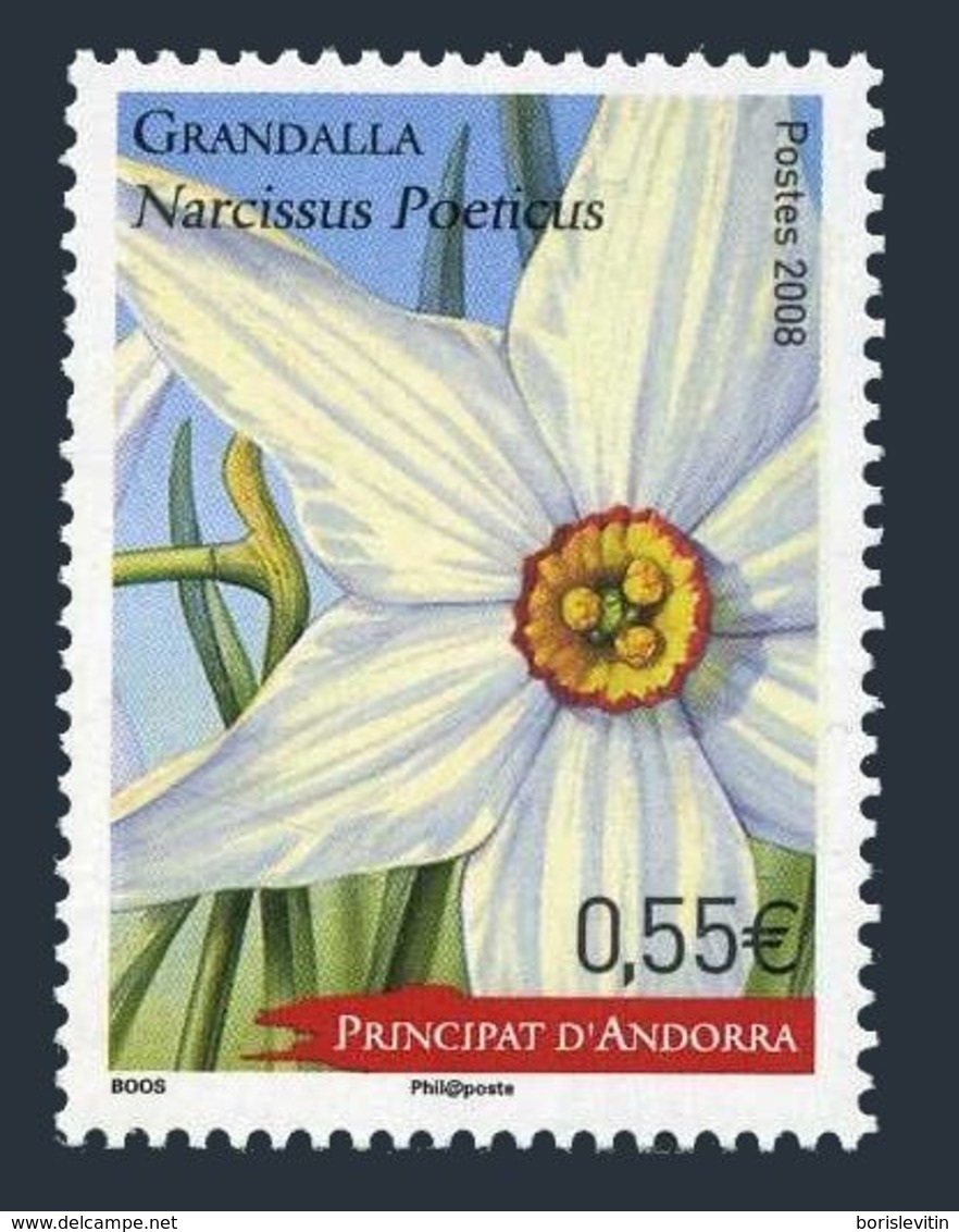 Andorra Fr 641,MNH. Narcissus Poeticus,2008. - Unused Stamps