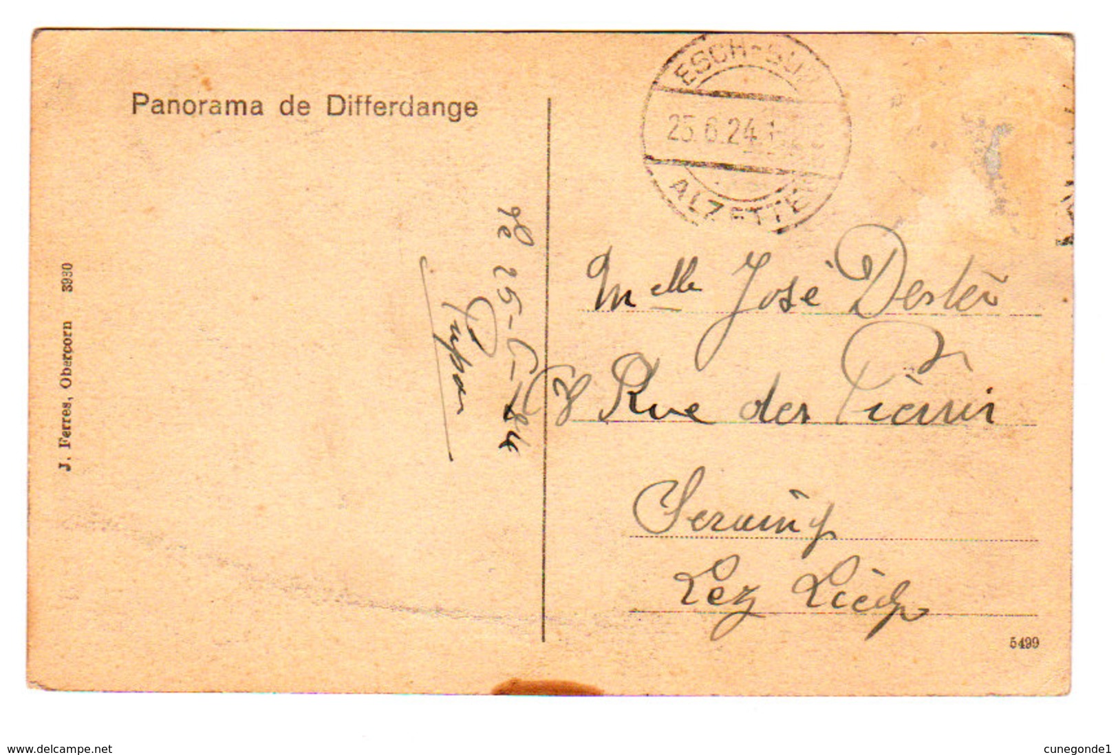 CPA Panorama De DIFFERDANGE - J. Ferres, Obercorn, Circulée En 1924 - Differdange