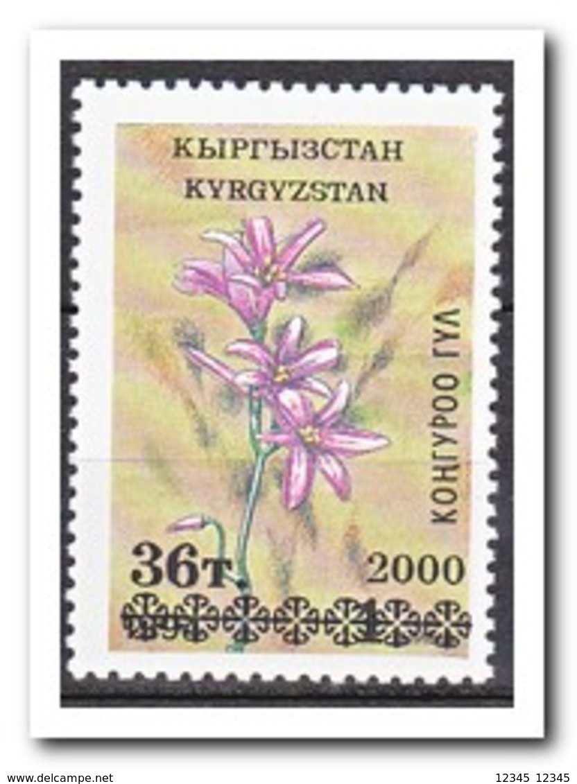 Kirgistan 2000, Postfris MNH, Flowers - Kirgizië