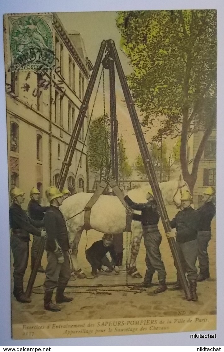 Exercices D'entrainement Des Sapeurs Pompiers De La Ville De Paris-Appareillage Pour Le Sauvetage Des Chevaux - Pompieri