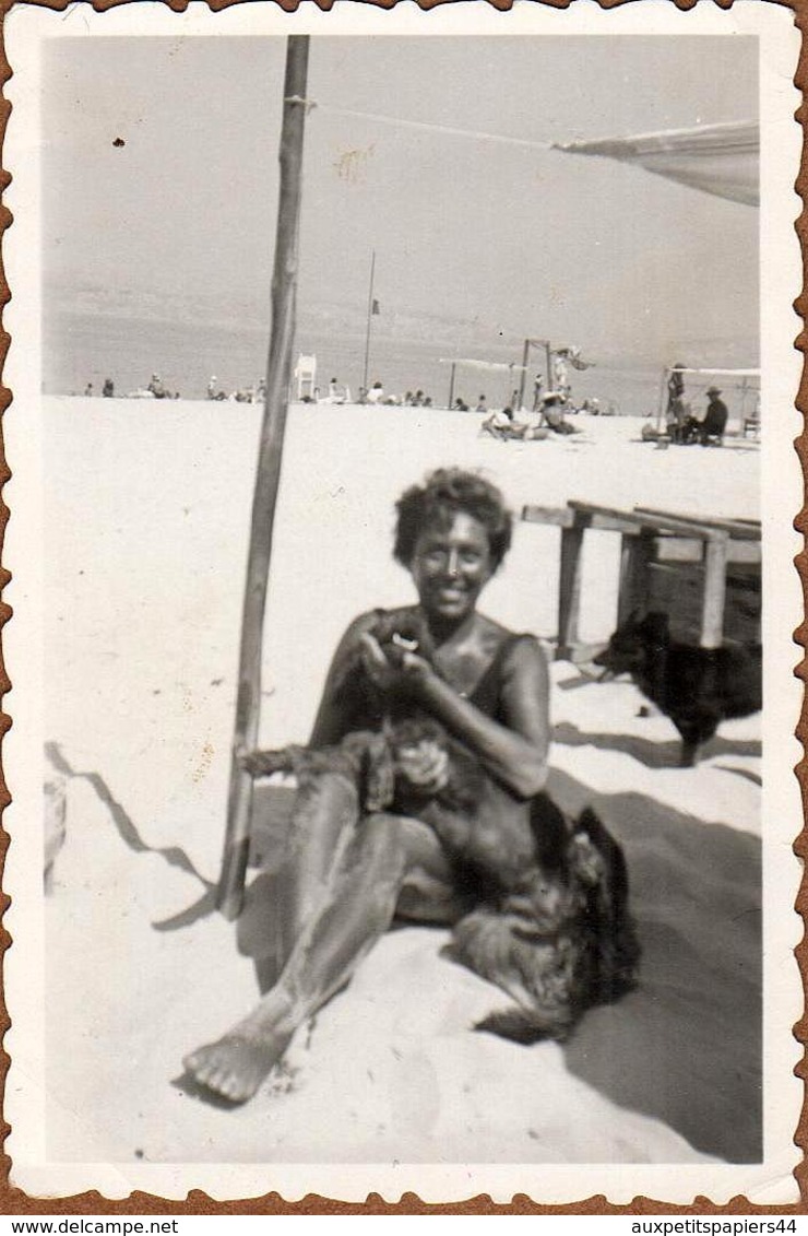 Photo Originale Portrait De Pin-Up En Mode Bronzette Sur La Plage, Tellement Bronzée Quelle En Est Devenue Black & Chien - Pin-Ups