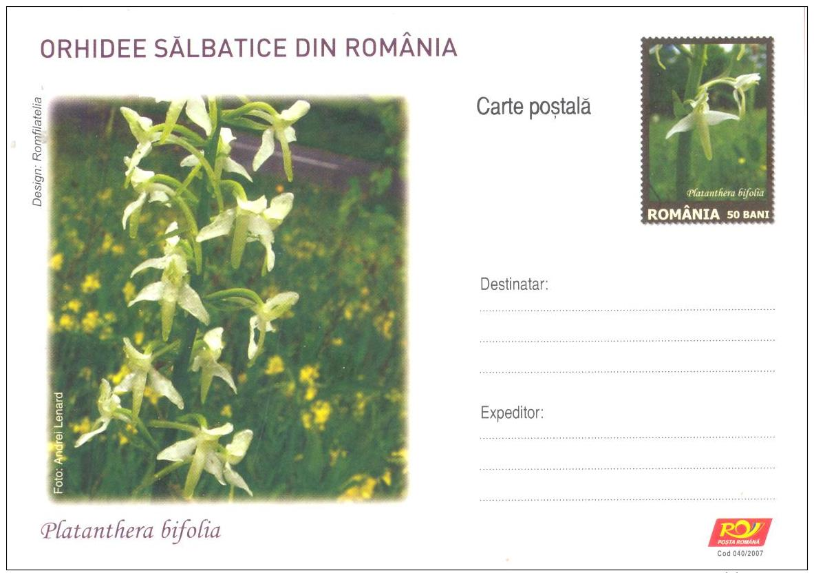 Romania   Heimische Orchidee  Platanthera Bifolia + Spiranthes Spiralis - Flores