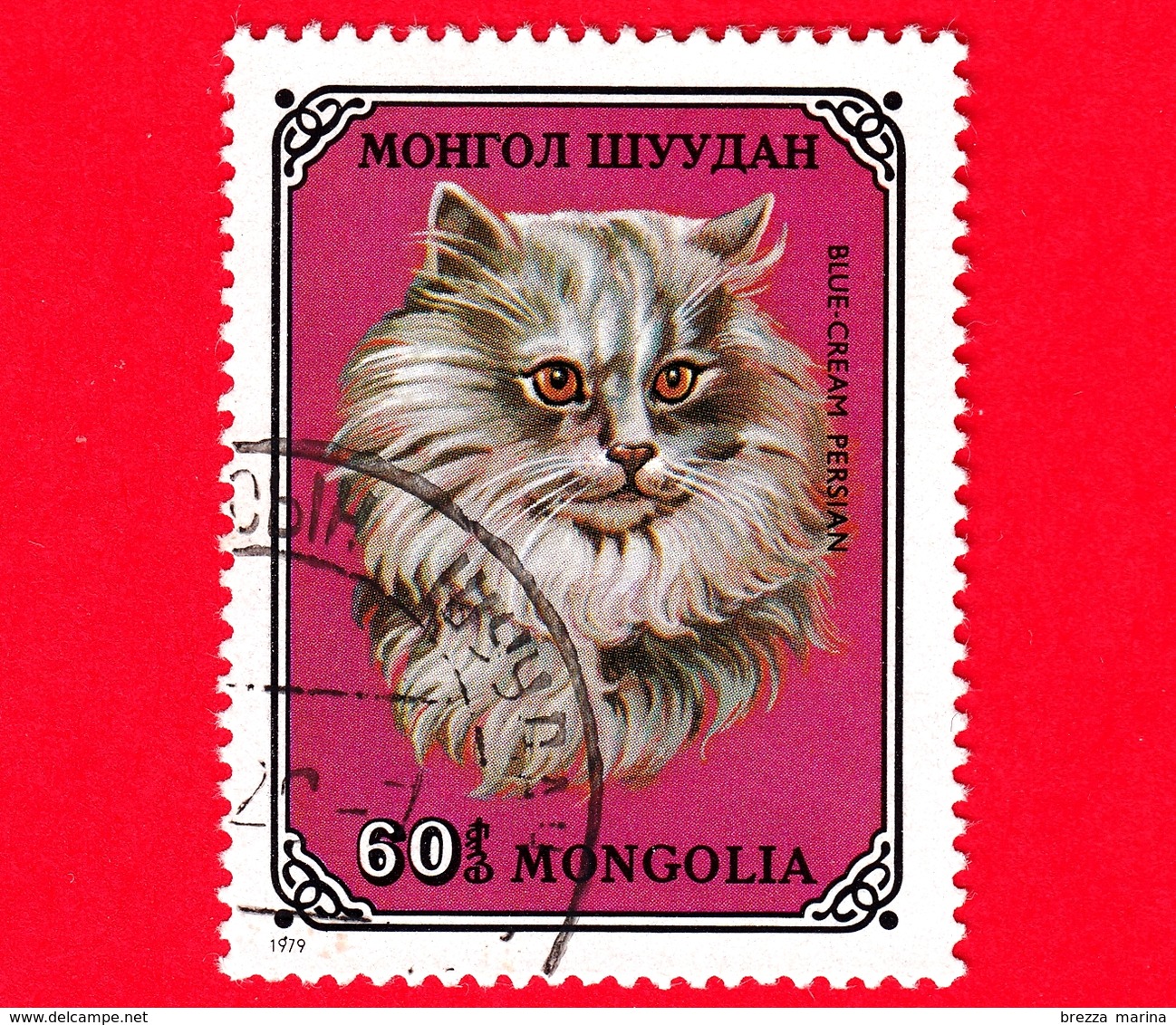 MONGOLIA - Usato - 1979 - Gatti Domestici - Cream Persian (Felis Silvestris Catus) - 60 - Mongolia