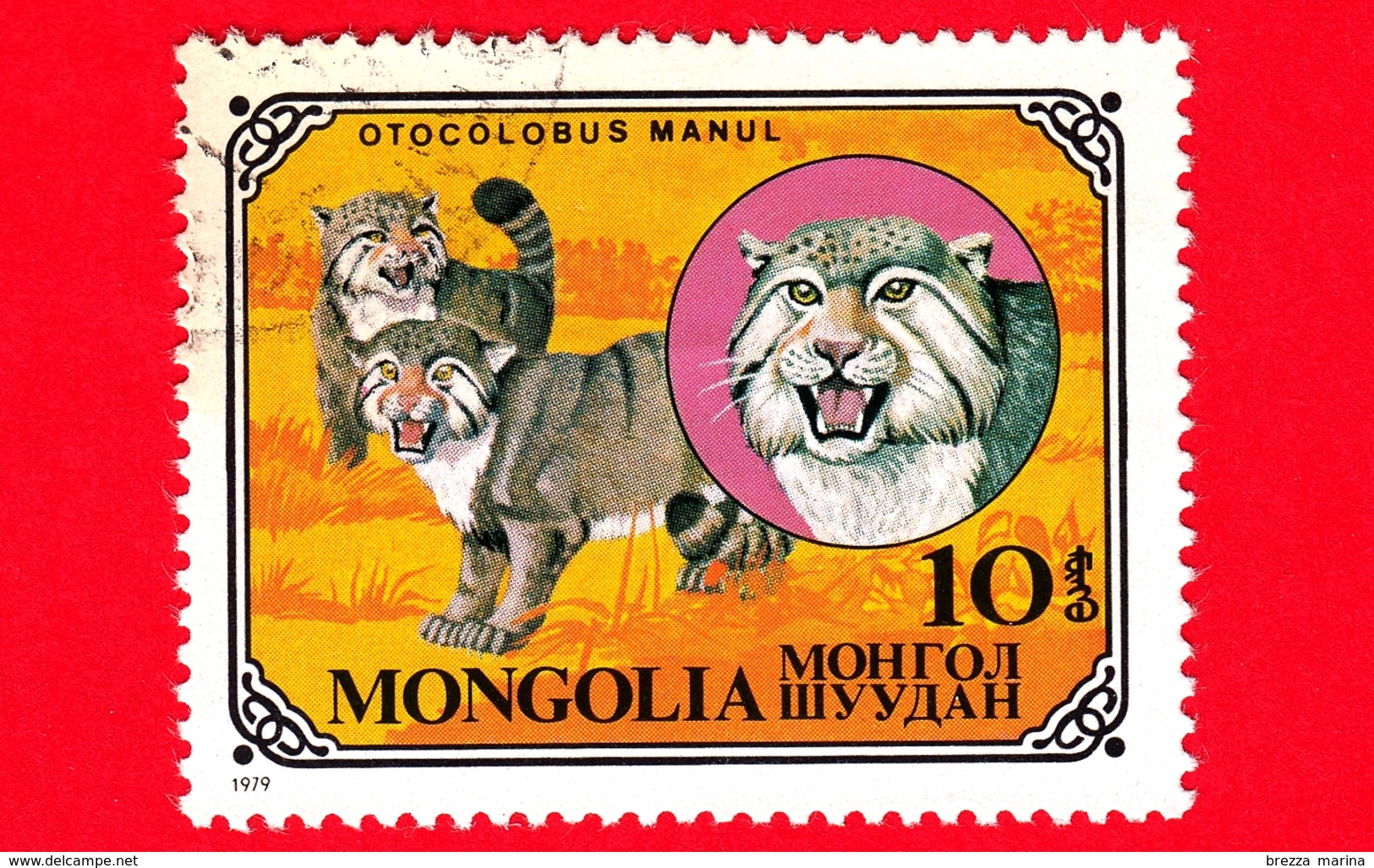 MONGOLIA - Usato - 1979 - Gatti Selvatici - Pallas's Cat (Otocolobus Manul) - 10 - Mongolia