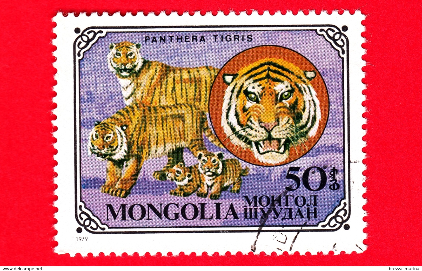 MONGOLIA - Usato - 1979 - Gatti Selvatici - Tiger (Panthera Tigris) - 50 - Mongolia