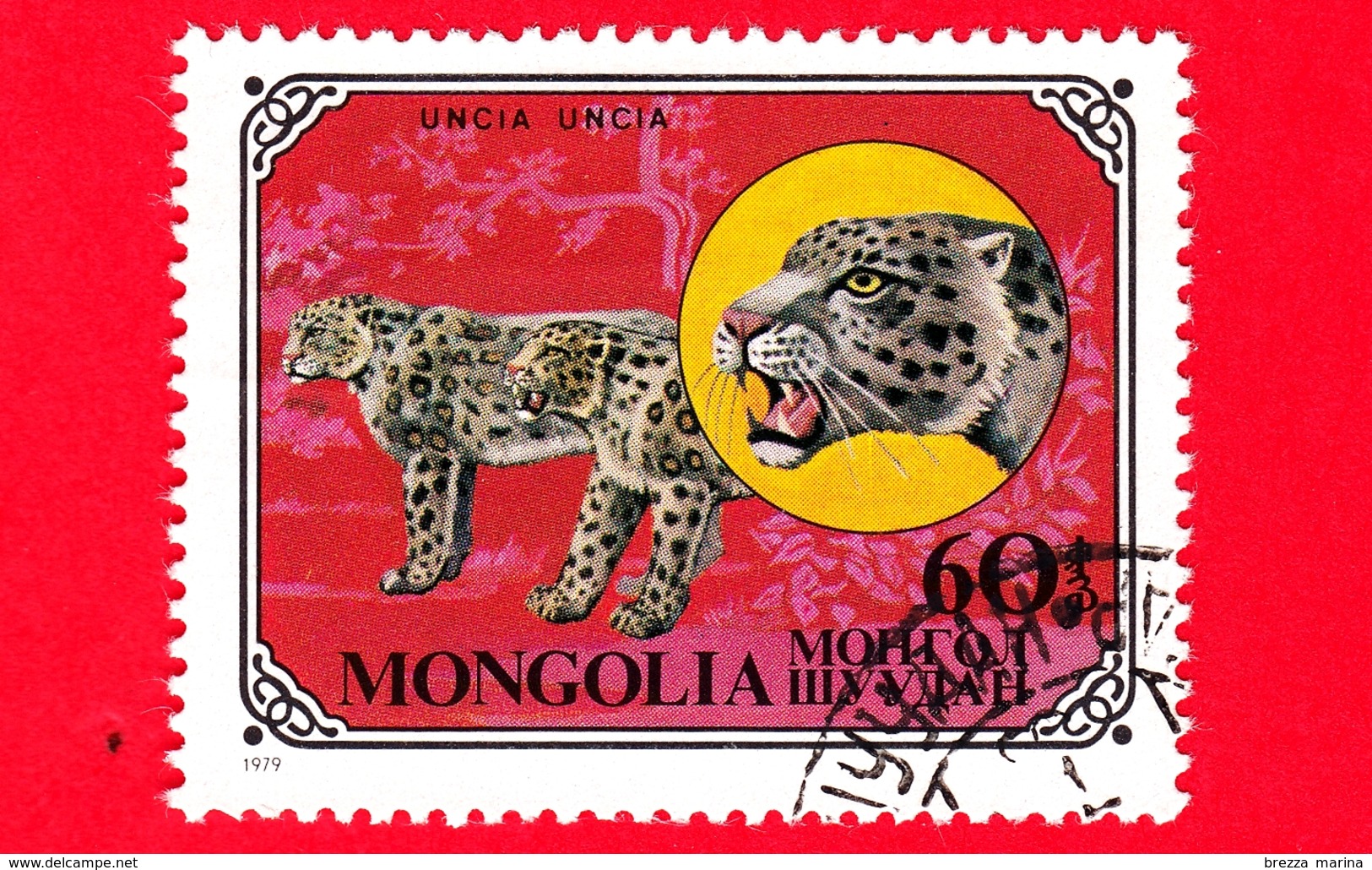 MONGOLIA - Usato - 1979 - Gatti Selvatici - Snow Leopard (Panthera Uncia) - 60 - Mongolia