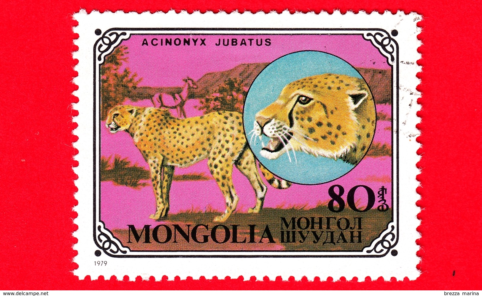 MONGOLIA - Usato - 1979 - Gatti Selvatici - Cheetah (Acinonyx Jubatus) - 80 - Mongolia