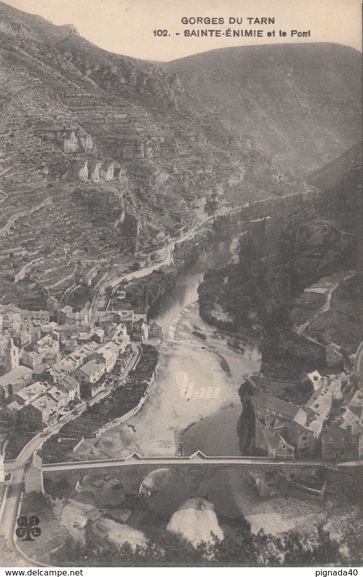 Cp , 48 , GORGES Du TARN , SAINTE-ÉNIMIE Et Le Pont - Gorges Du Tarn