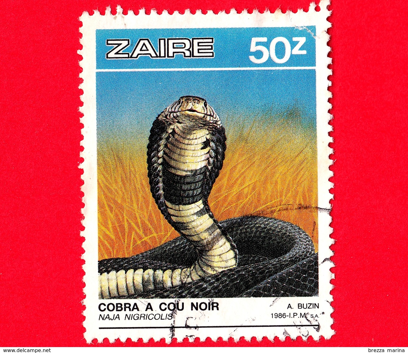 ZAIRE - Usato - 1987 - Rettili - Serpenti - Cobra (Naja Nigricolis) - 50 - Strappato In Alto A Dx - Usati