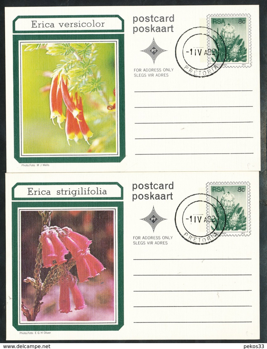 Postkarte - RAS - Südafrika  2. Postkarten   Blumen - Briefe U. Dokumente