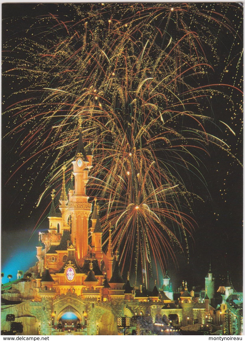 Disney :  Paris , Château   Feu D '  Artifice - Disneyland