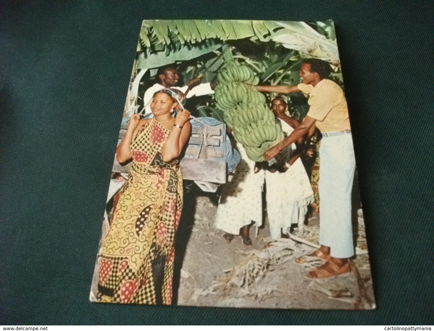STORIA POSTALE  FRANCOBOLLO  SOMALIYA SOMALIA AZIENDA AGRICOLA FOLCO AFGOI SOMALIA CASCO BANANE PIEGA - Somalia