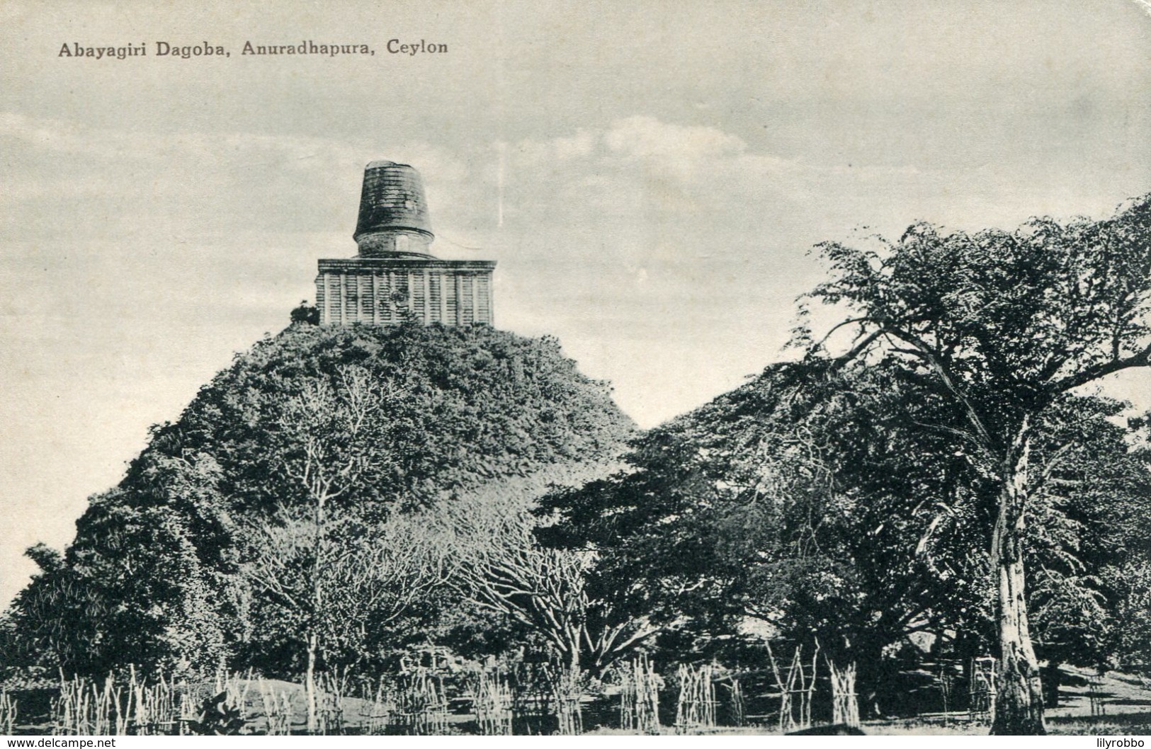 SRI-LANCA (CEYLON) - Abayagiri Dagoba - Anuradhapura - Sri Lanka (Ceylon)