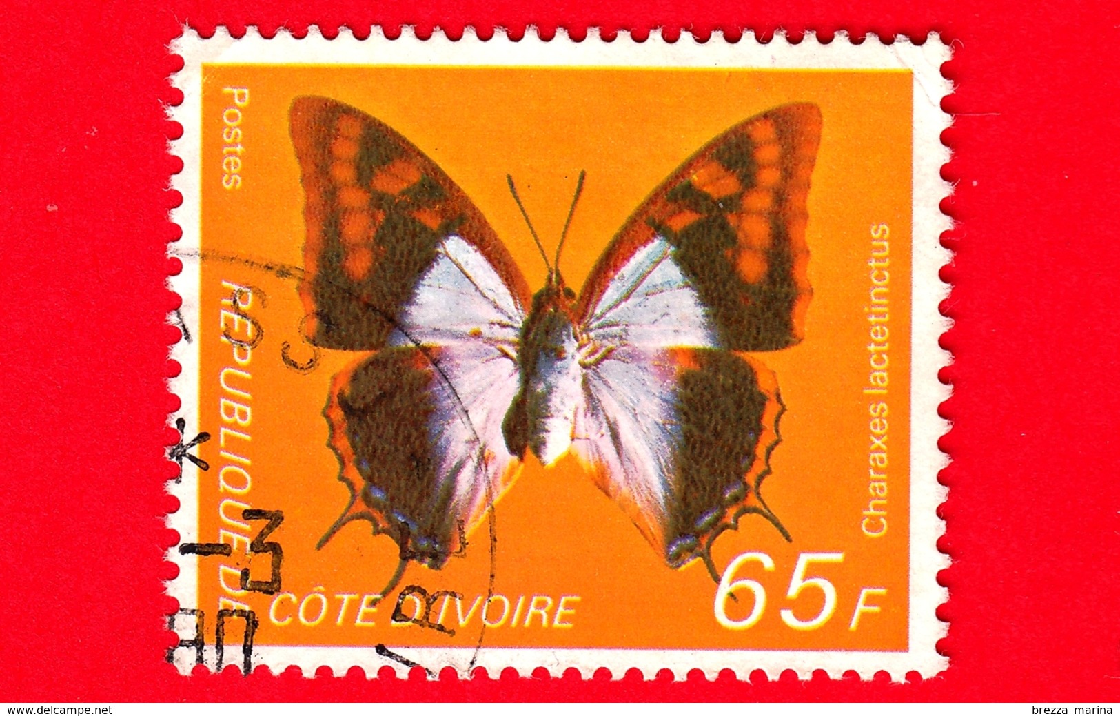 COSTA D'AVORIO - Usato - 1978 - Farfalle - Blue Patch Charaxes (Charaxes Lactetinctus) - 65 - Costa D'Avorio (1960-...)