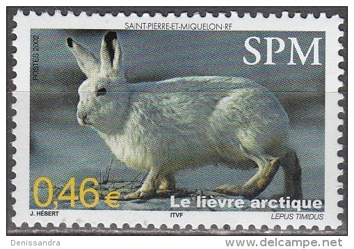 Saint-Pierre & Miquelon 2002 Yvert 782 Neuf ** Cote (2015) 2.00 Euro Le Lièvre Arctique - Unused Stamps