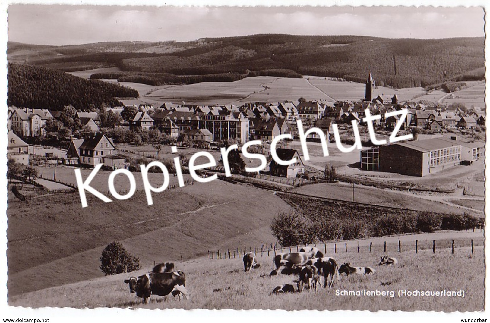 Schmallenberg  1956  (z5797) - Schmallenberg