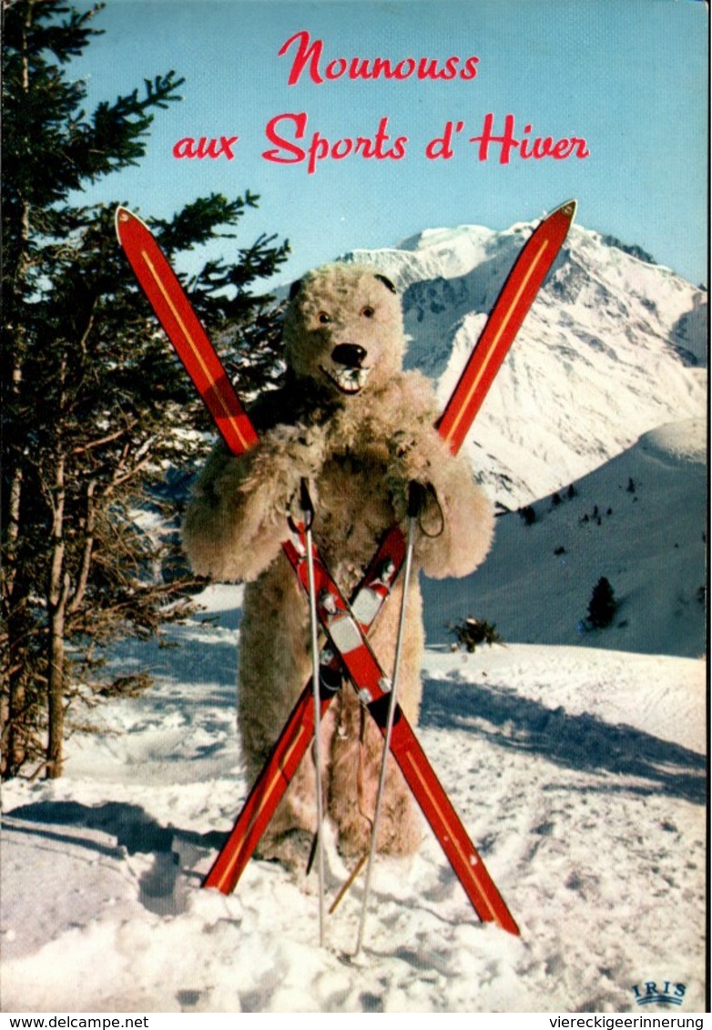 ! Ansichtskarte Nounouss Aux Sports D' Hiver, Ski, Wintersport, Bär, Bear, 1969, MONTREUR D' OURS - Beren