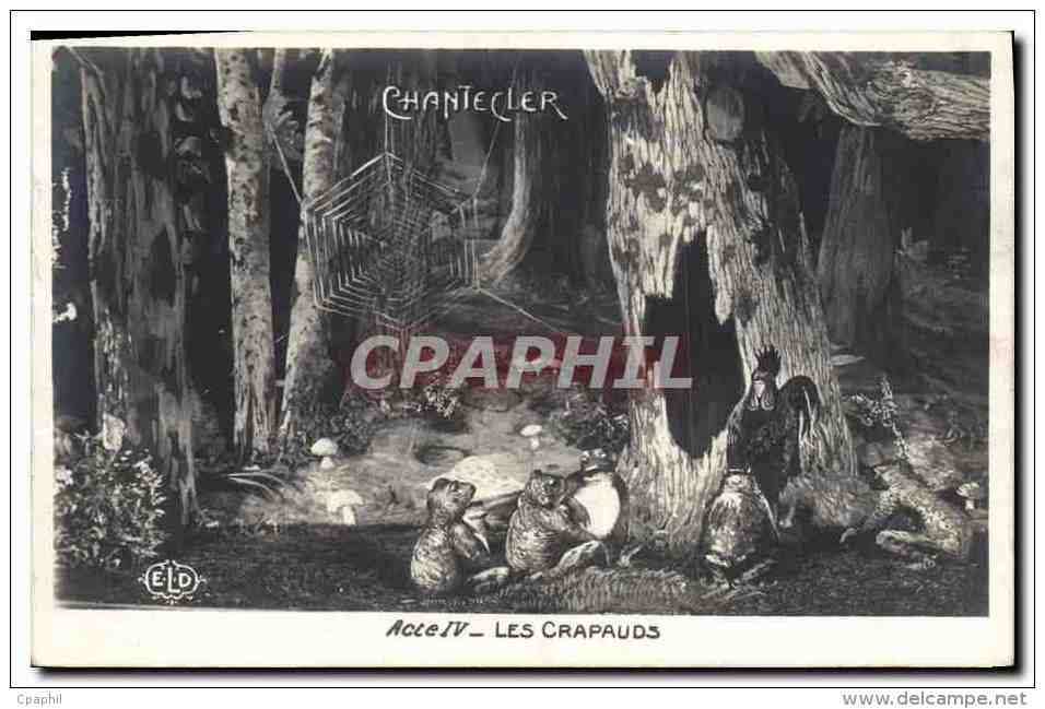 CPA Theatre Edmond Rostand Chantecler Les Crapauds Grenouille - Theatre