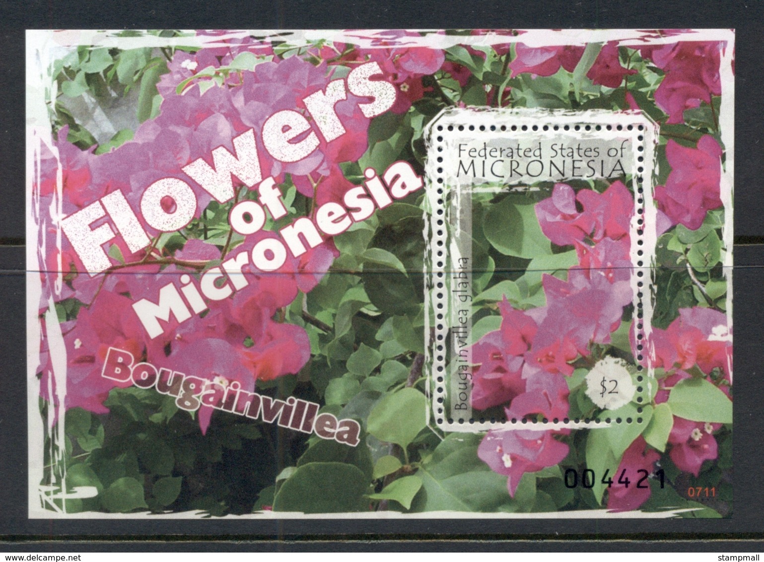 Micronesia 2007 Flowers Of Micronesia MS MUH - Micronesia