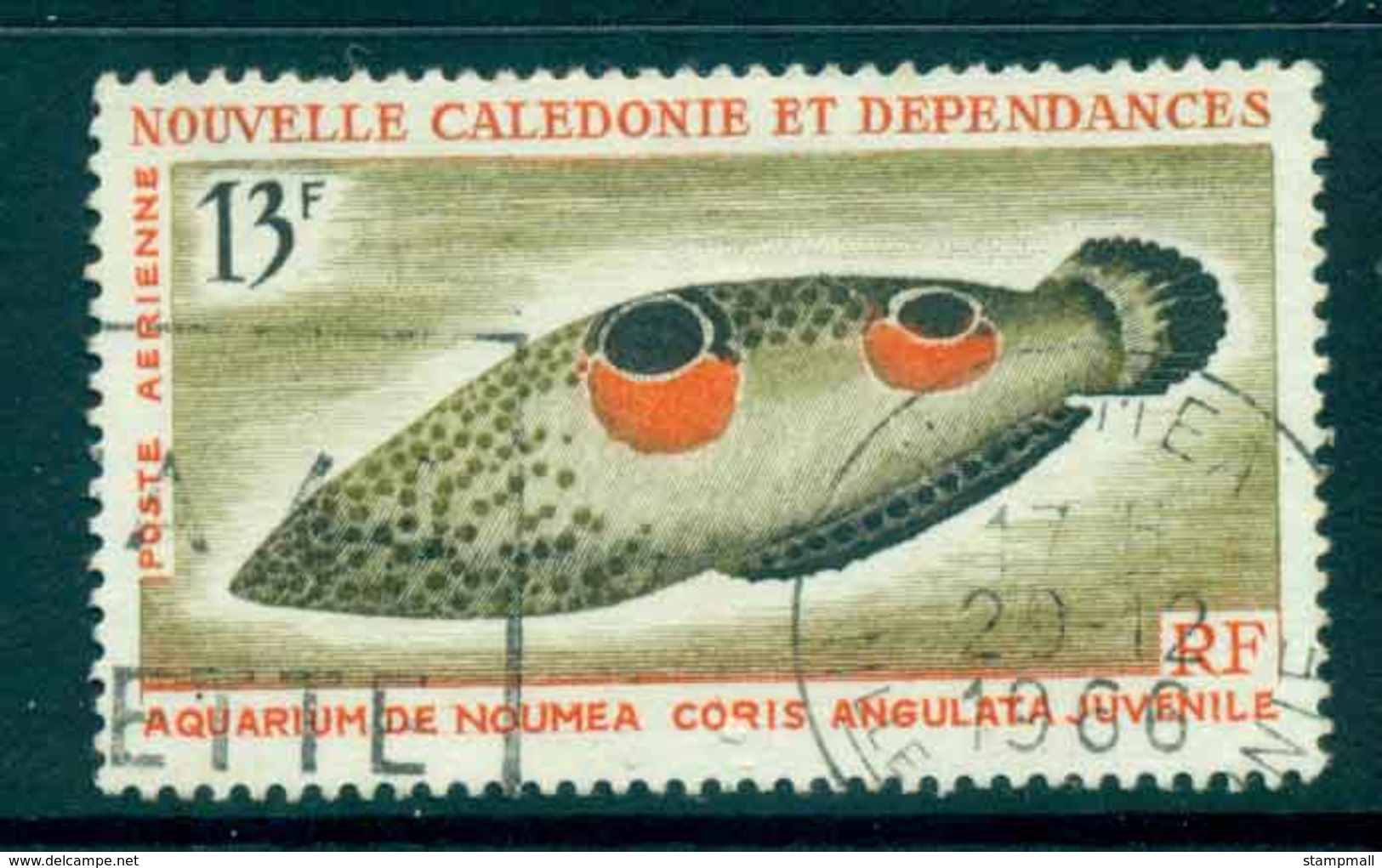 New Caledonia 1965 13f Fish FU Lot49612 - Nuovi