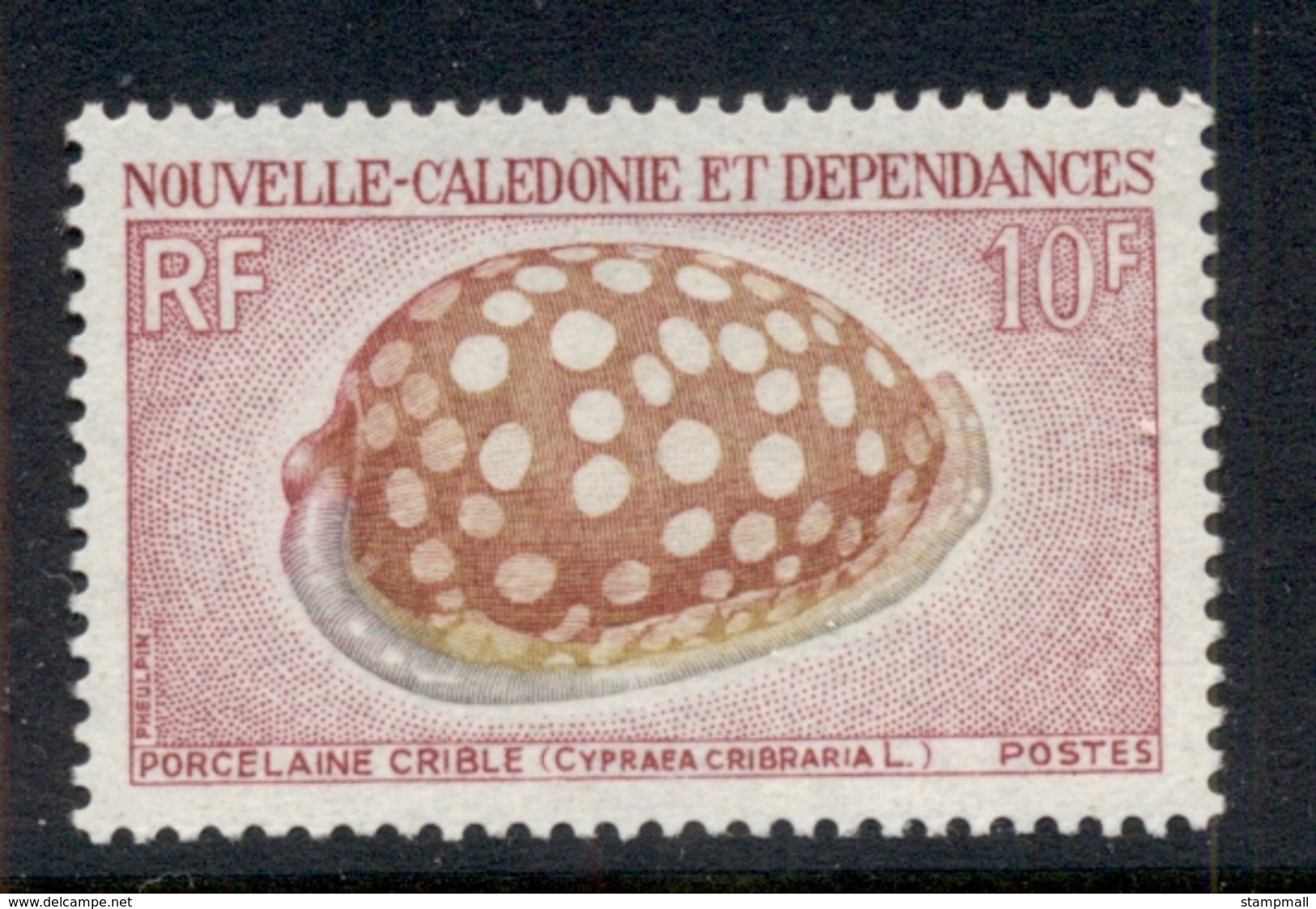 New Caledonia 1970 Shells 10f MLH - Unused Stamps