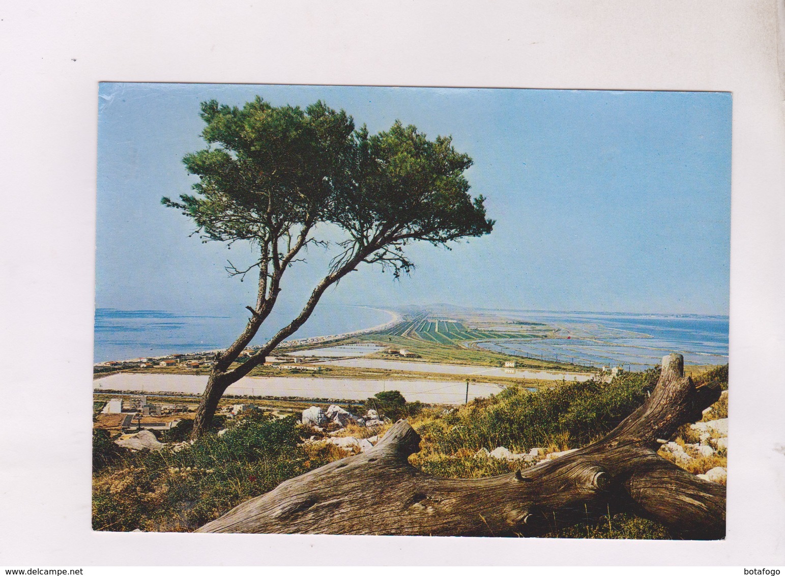 CPM DPT 34 SETE, VUE SUR LES MARAIS SALANTS Et LA PLAGE. AU FOND LE PIC ST LOUP En 1964! - Sete (Cette)