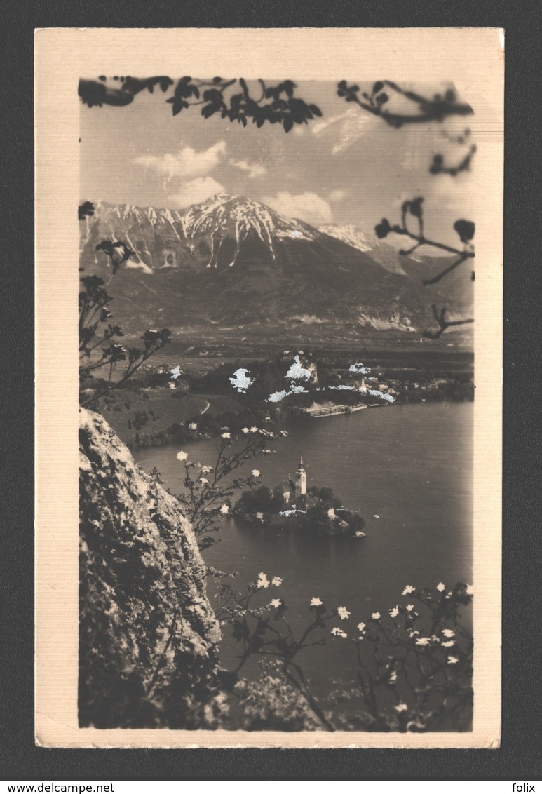 Bled - Eglise Sainte Marie Du Lac - Photo Card - 1954 - Yougoslavie