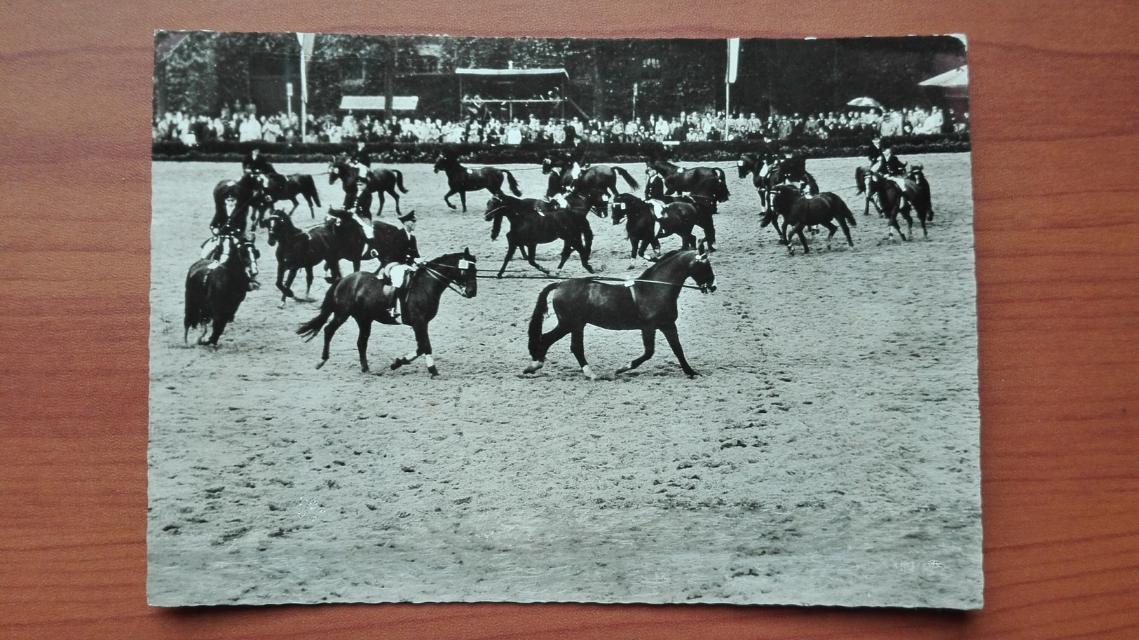 Hengstparade Landgestut Warendorf - Paardensport