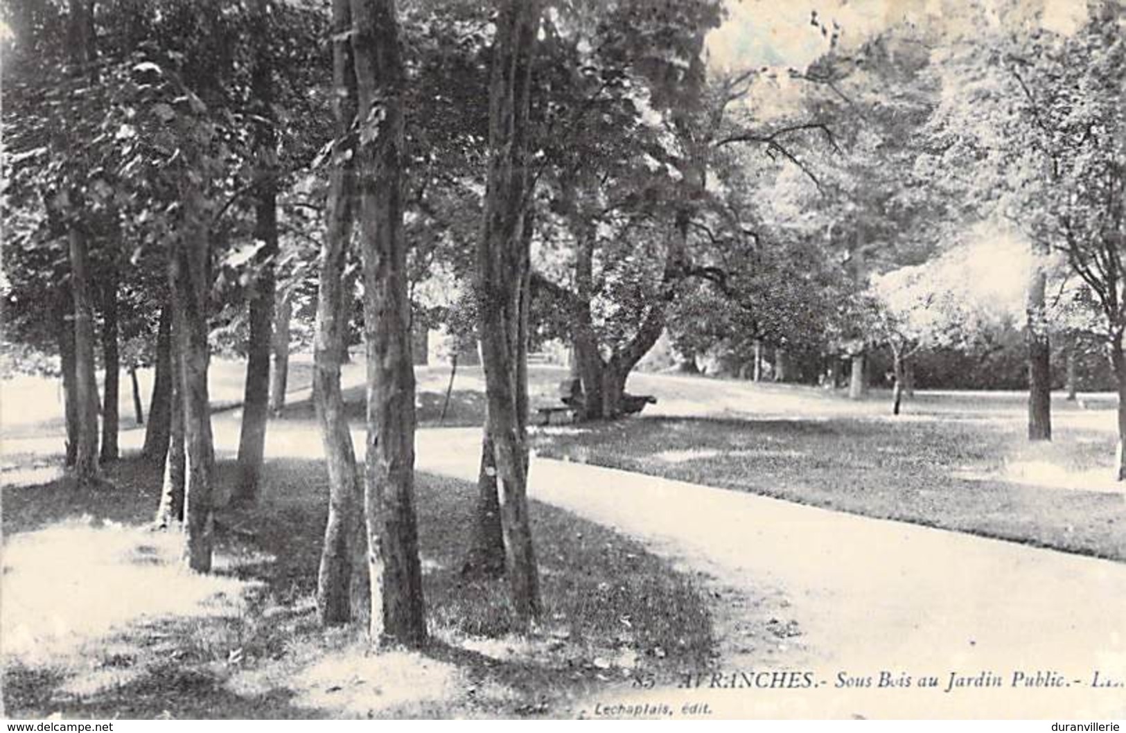 50 - AVRANCHES - Sous Bois Du Jardin Public. - Avranches