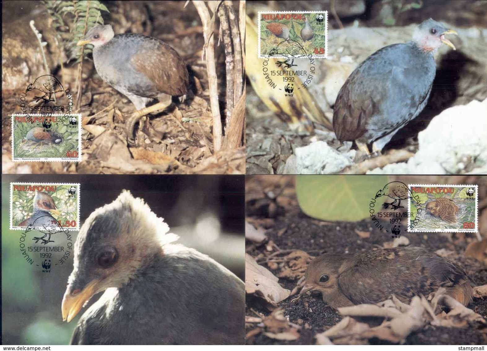 Tonga Niuafo'ou 1992 WWF Niuafo'ou Megapode, Bird Maxicards - Tonga (1970-...)