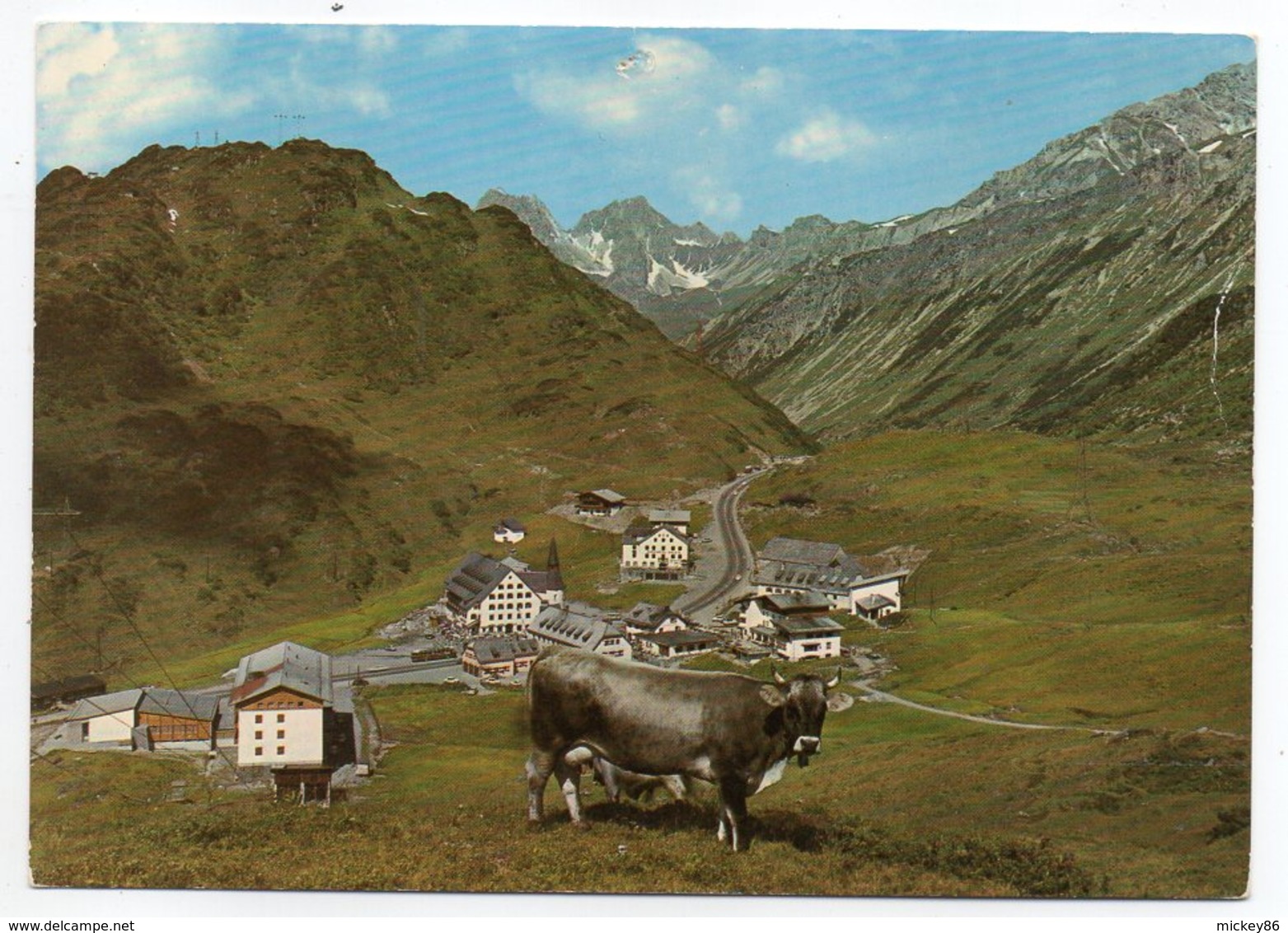 Autriche -- Tirol -- St CHRISTOPH AM ARLBERG --1800m--Vue Générale   ( Vache Au 1er Plan) - Autres & Non Classés