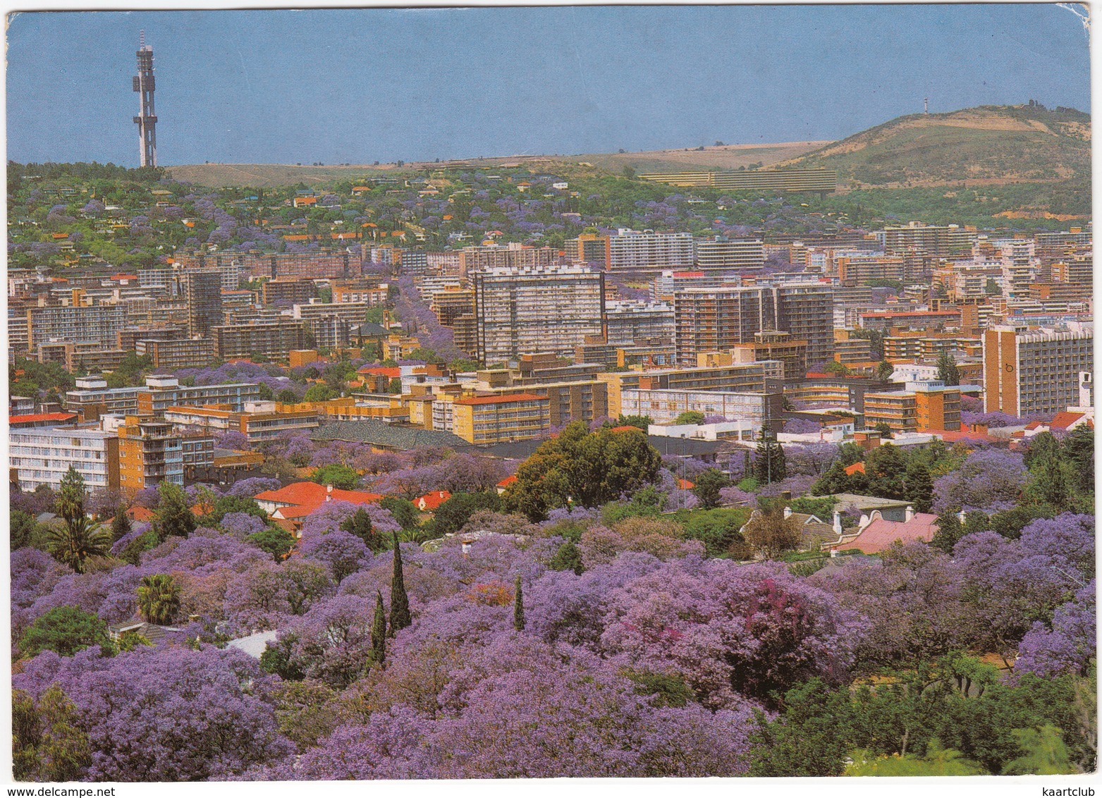 Pretoria - City Of Jacarandas - Jakarandastad - (Transvaal, South Africa) - Zuid-Afrika