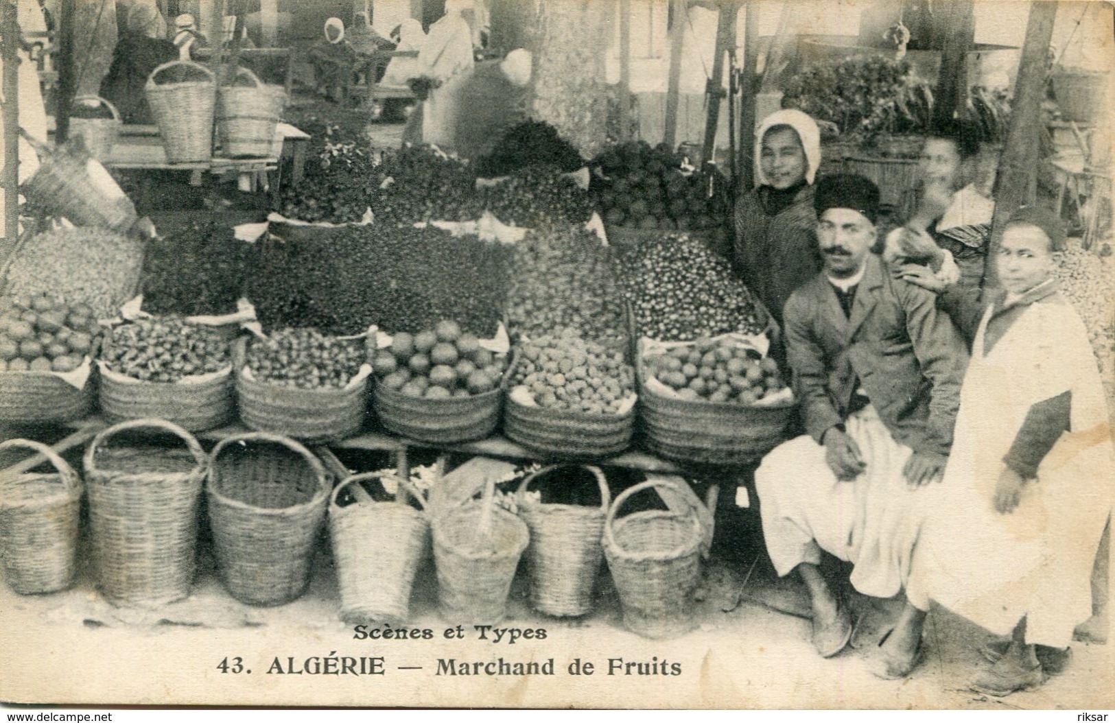 ALGERIE(TYPE) MARCHAND DE FRUIT - Scènes & Types