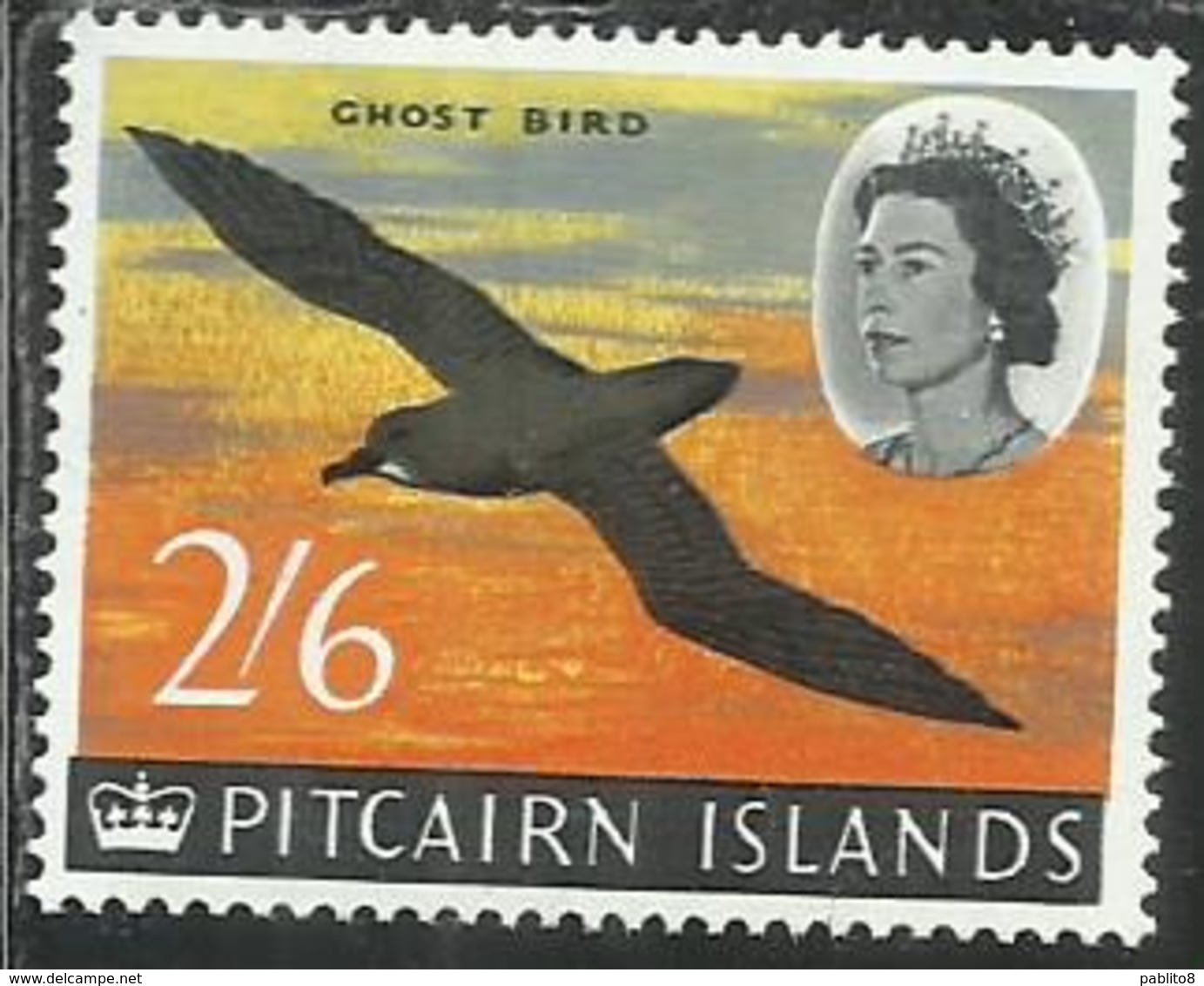 PITCAIRN ISLANDS ISOLE 1964 1965 DEFINITIVES MURPHY'S PETREL GHOST BIRD UCCELLO FAUNA 2sh 6p 2/6 MNH - Pitcairn