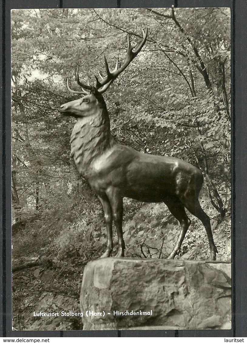 Deutschland DDR 1972 Luftkurort Stolberg (Harz) Hirschdenkmal Sauber Unbenutzt - Stolberg (Harz)