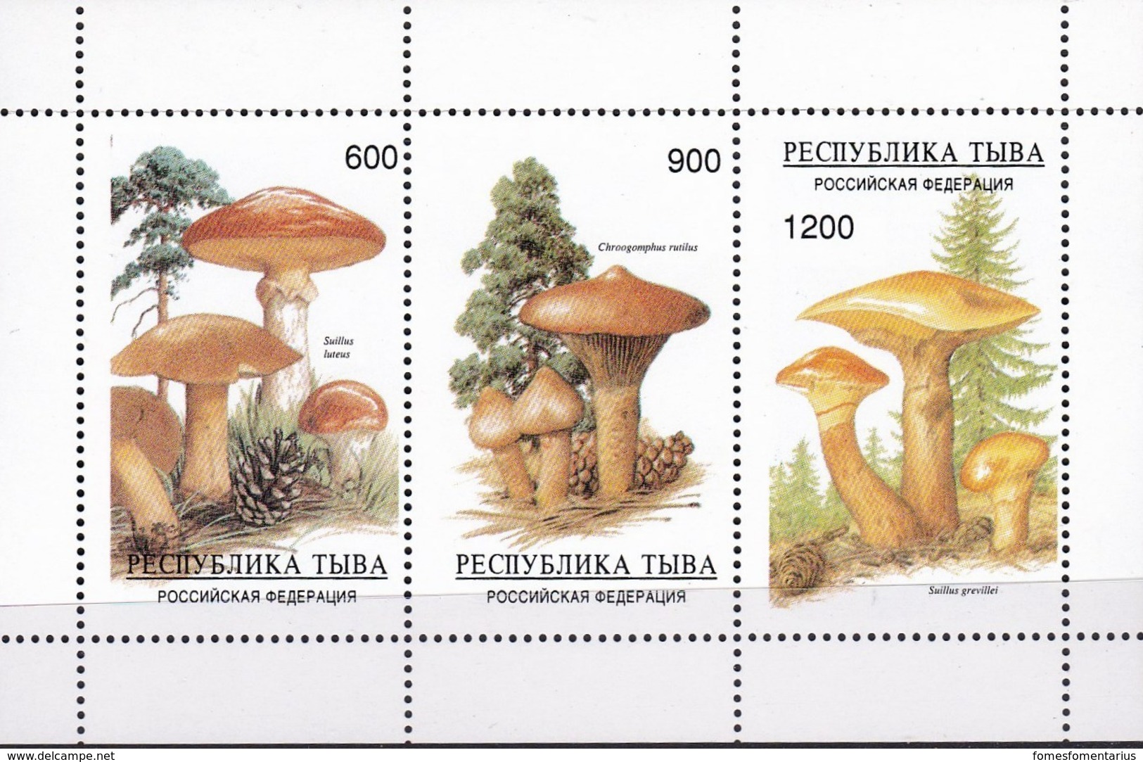 Feuillet Neuf** 6 Timbres Champignon - Pilze