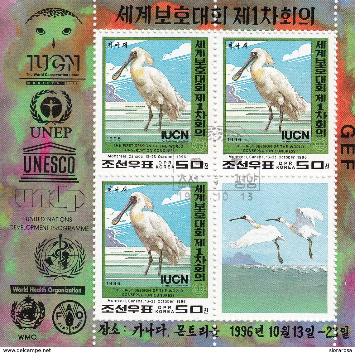 DPR Korea 1996 Sc. 3581 Platalea Regia  WWF - IUCN - WSPA - GREENPEACE - Sheet Perf.CTO - Corea Del Nord