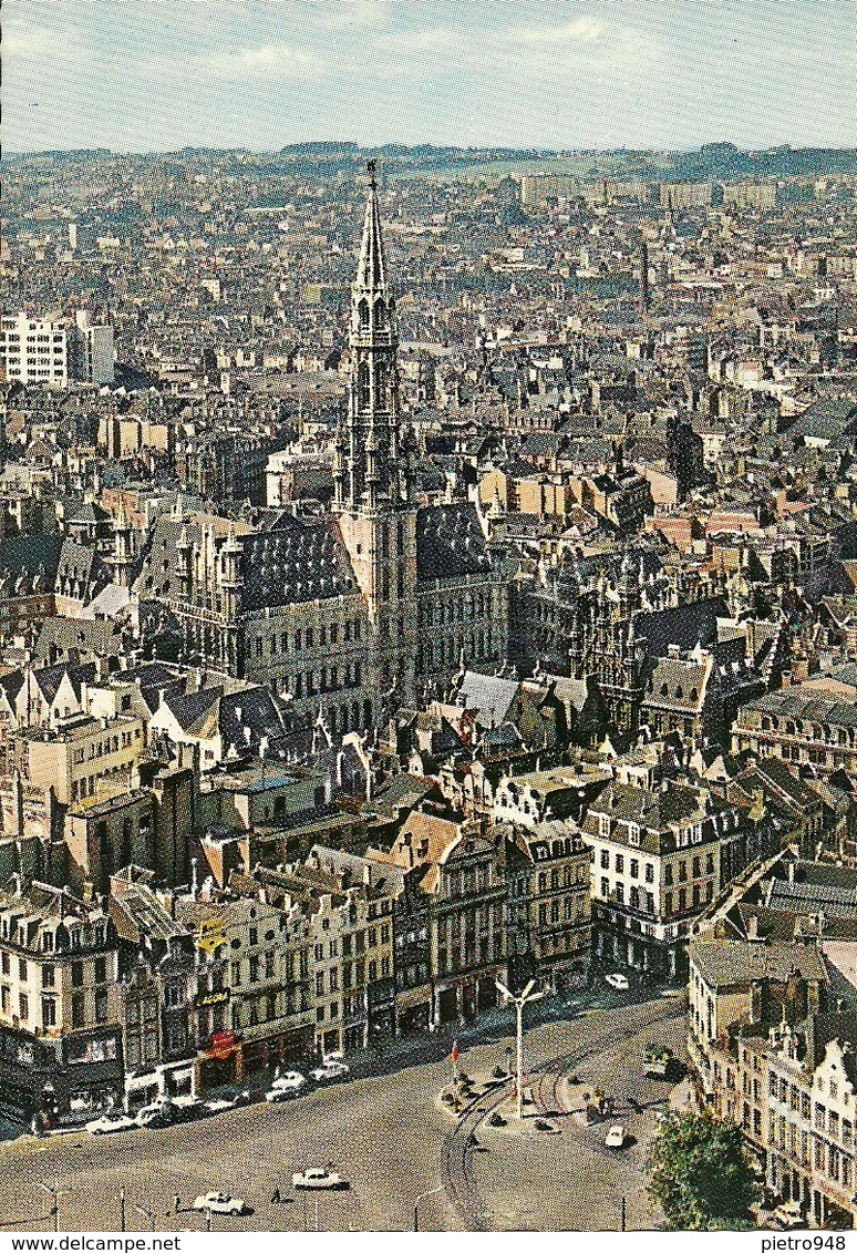 Bruxelles (Belgio) Brussel, Vue Aerienne, Au Centre L'Hotel De Ville, Aerial View And Town Hall - Viste Panoramiche, Panorama