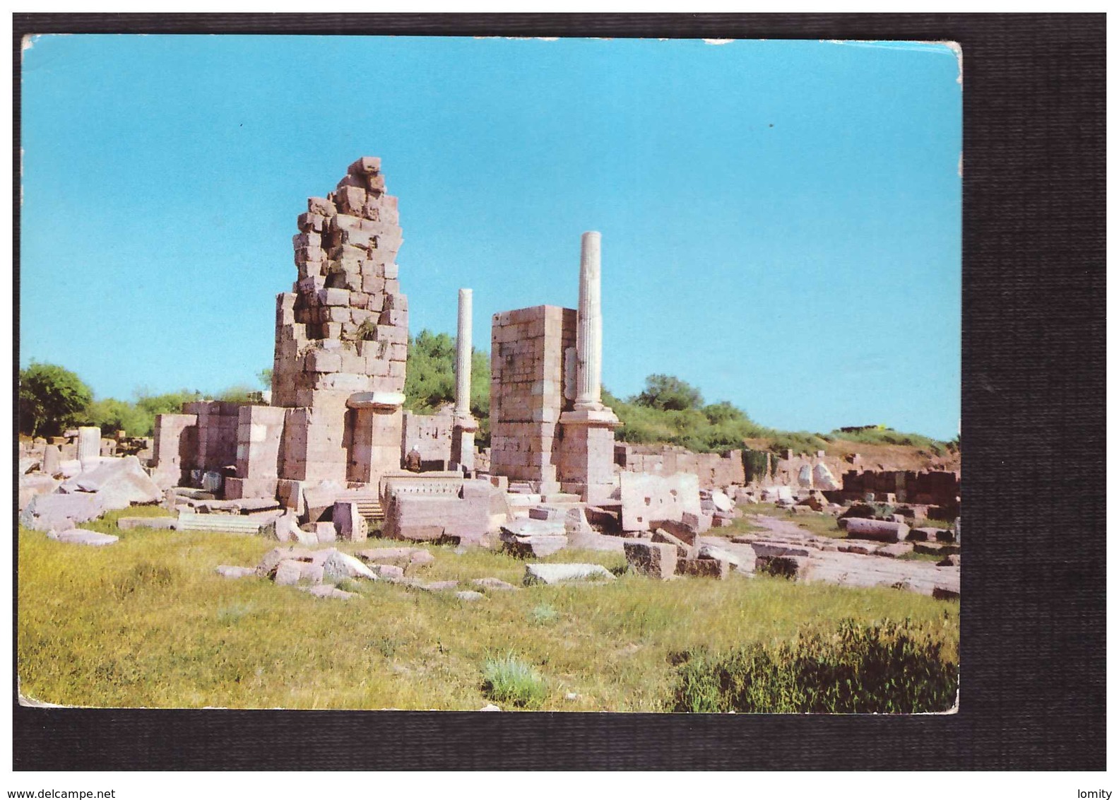 Libye Libya Leptis Ruderi Ruines Ruines + Timbre Cachet 1971 - Libye