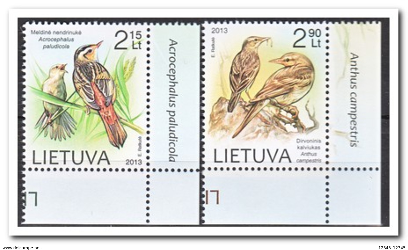 Litouwen 2013, Postfris MNH, Birds - Litouwen