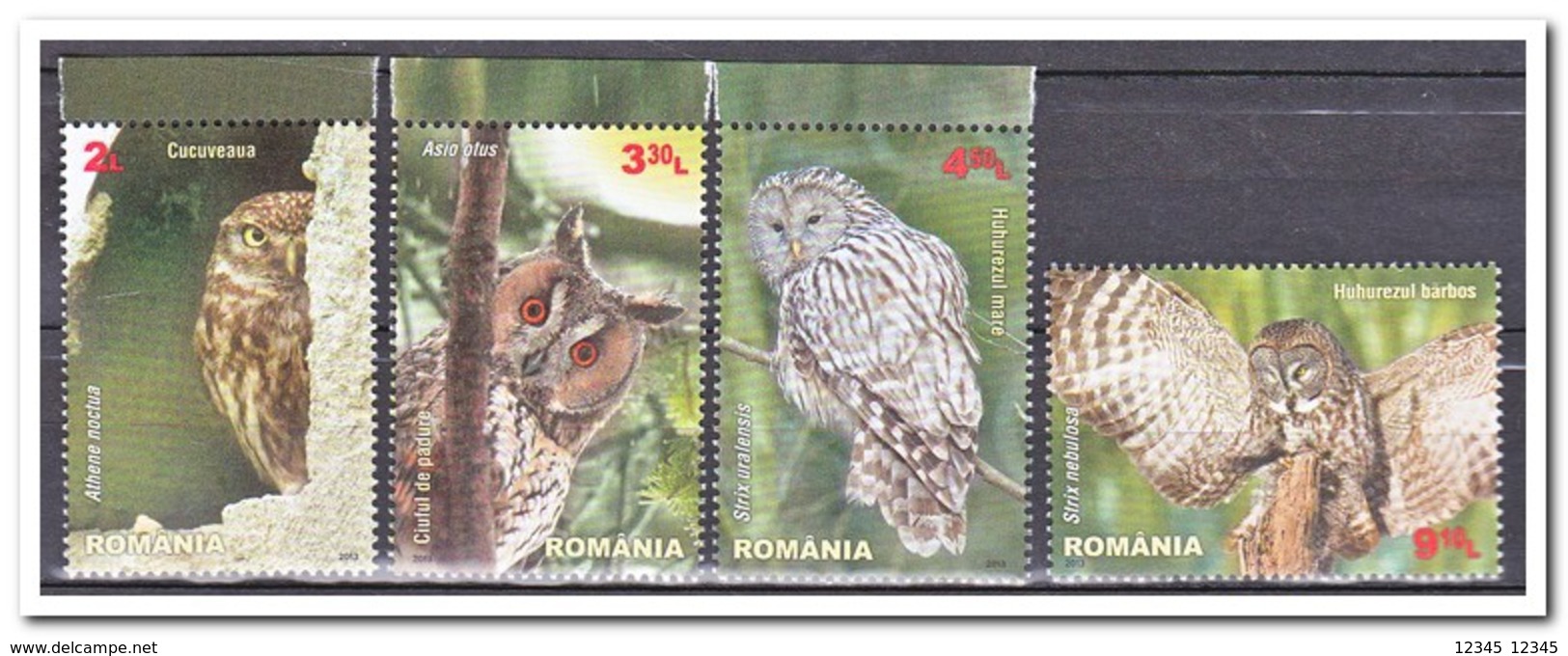 Roemenië 2013, Postfris MNH, Owls - Ongebruikt