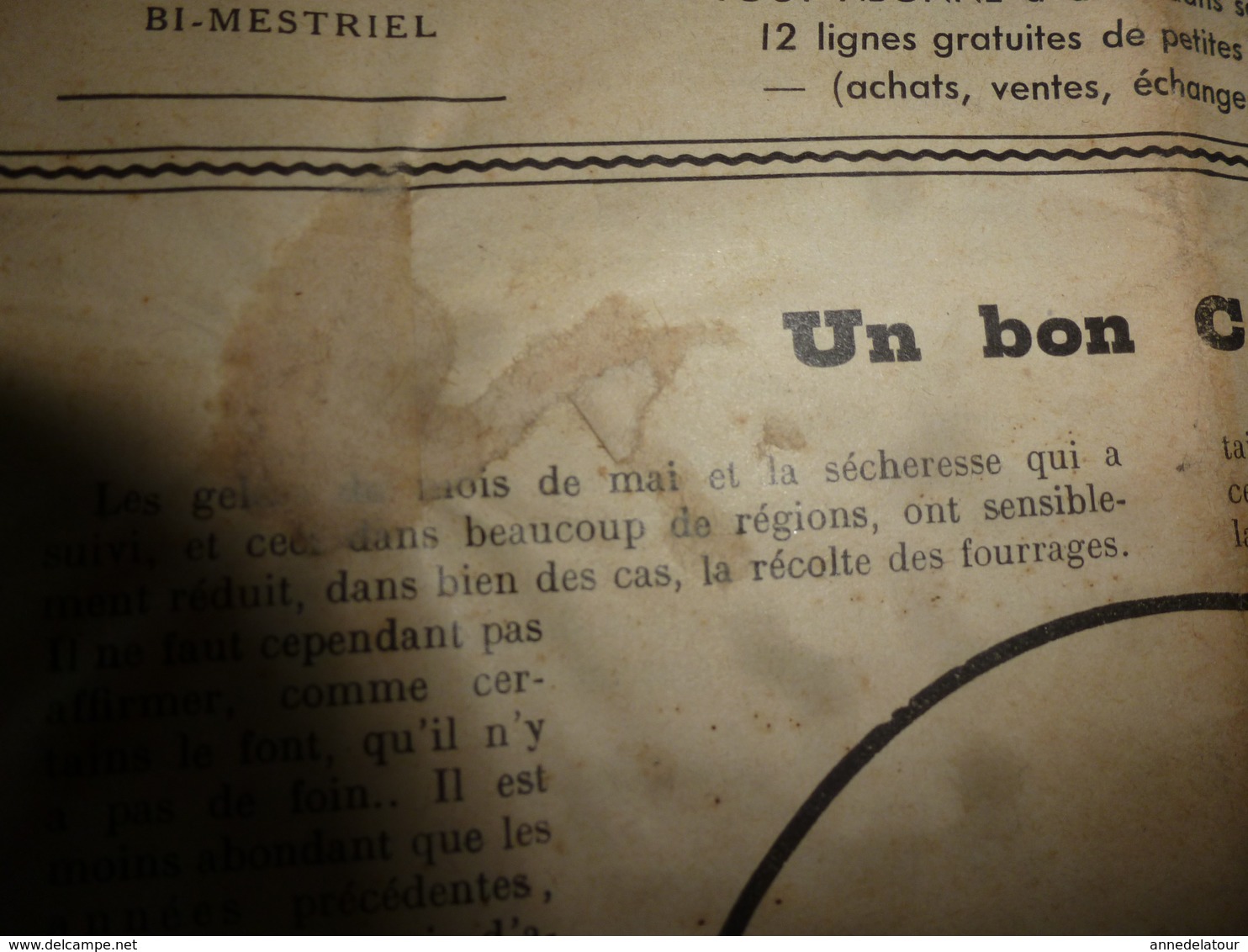 1938 Les Conseils Saisoniers (Dormoy à Trémoins;Sabatier à Laas,Cazaux à Baigts,Cabaussel à Viterbe,Fahé à Sanadère;etc - Autres & Non Classés