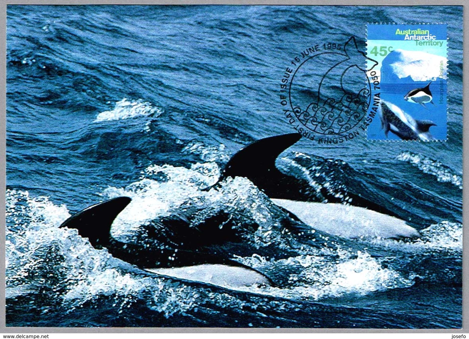 HOURGLASS DOLPHIN. AAT 1995 - Dolfijnen