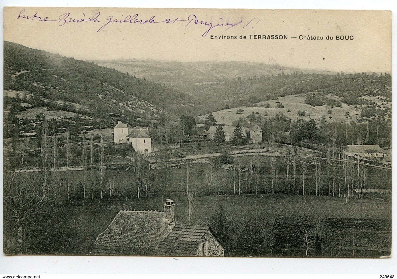 Environs De Terrasson Château Du Bouc (ou Bouch) - Autres & Non Classés