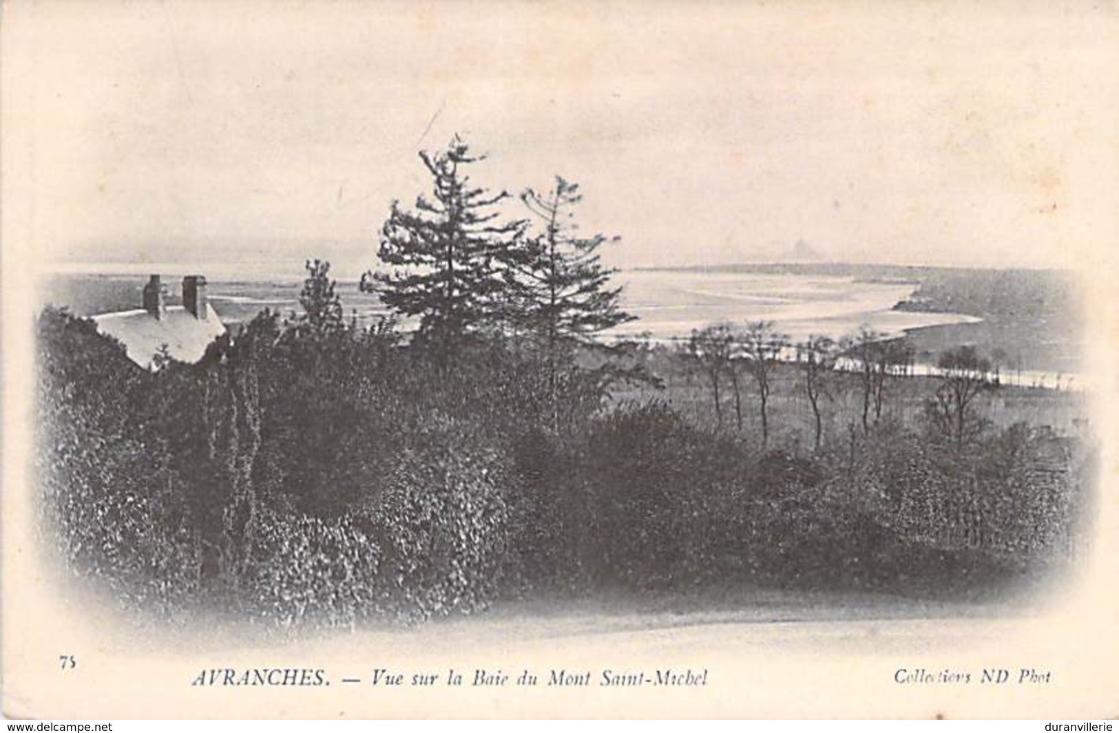 50 - AVRANCHES - Vue Sur La Baie Du Mont Saint Michel. - Avranches