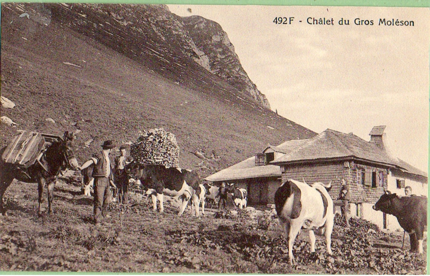 Chalet Du Gros Moléson - Other & Unclassified