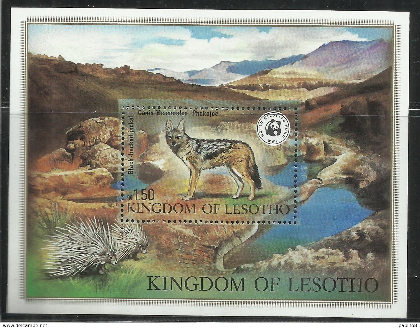 LESOTHO 1981 WILDLIFE WWF JACKAL NATURE ANIMALS BLOCK SHEET BLOCCO FOGLIETTO MNH - Lesotho (1966-...)